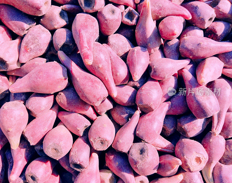 仙人掌，刺梨或梨仙人掌，瑞诗凯什拉姆法尔水果，anar phalee tunafruit sabra nopal紫色拉姆法尔水果食物特写视图图像图片照片